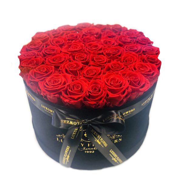 Trvácne ruže v boxe - červené XL